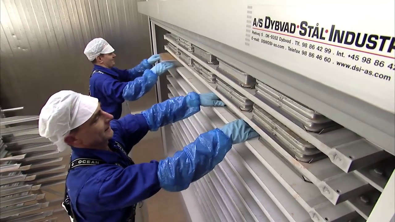 HORIZONTAL PLATE FREEZER