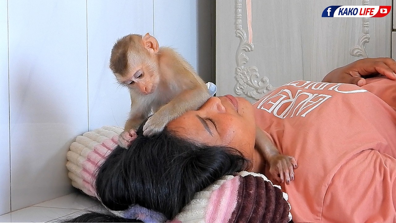 Little Girl Valen Focus To Grooming Grandma