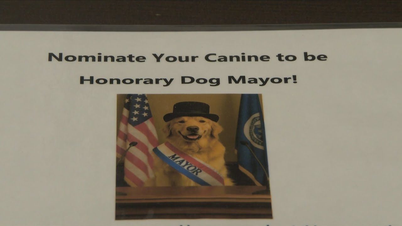 Sac City is Looking to Elect a Dog Mayor to Help Raise Funds for a Dog Part