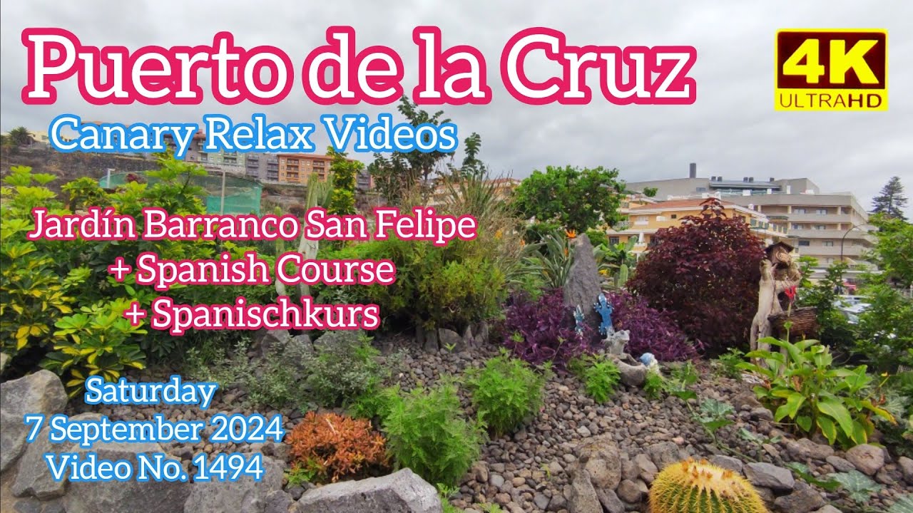 Tenerife 🏝️ Puerto de la Cruz Jardín Barranco San Felipe 7 September 2024