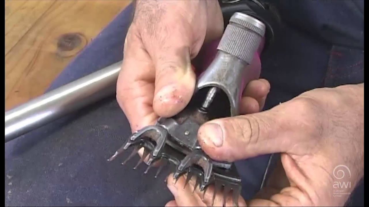 AWI Novice -  Equipment - Setting Up the Handpiece