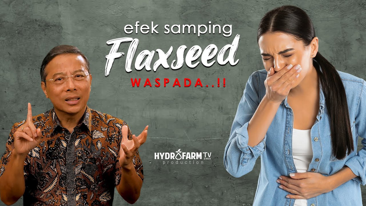 WASPADA..!! Efek Samping FLAXSEED (Biji Rami)