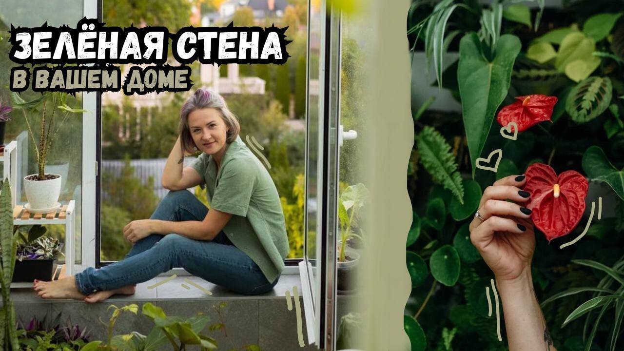 Зелёная стена в вашем доме / Как ухаживать / Что учесть / Как озеленять стены в доме