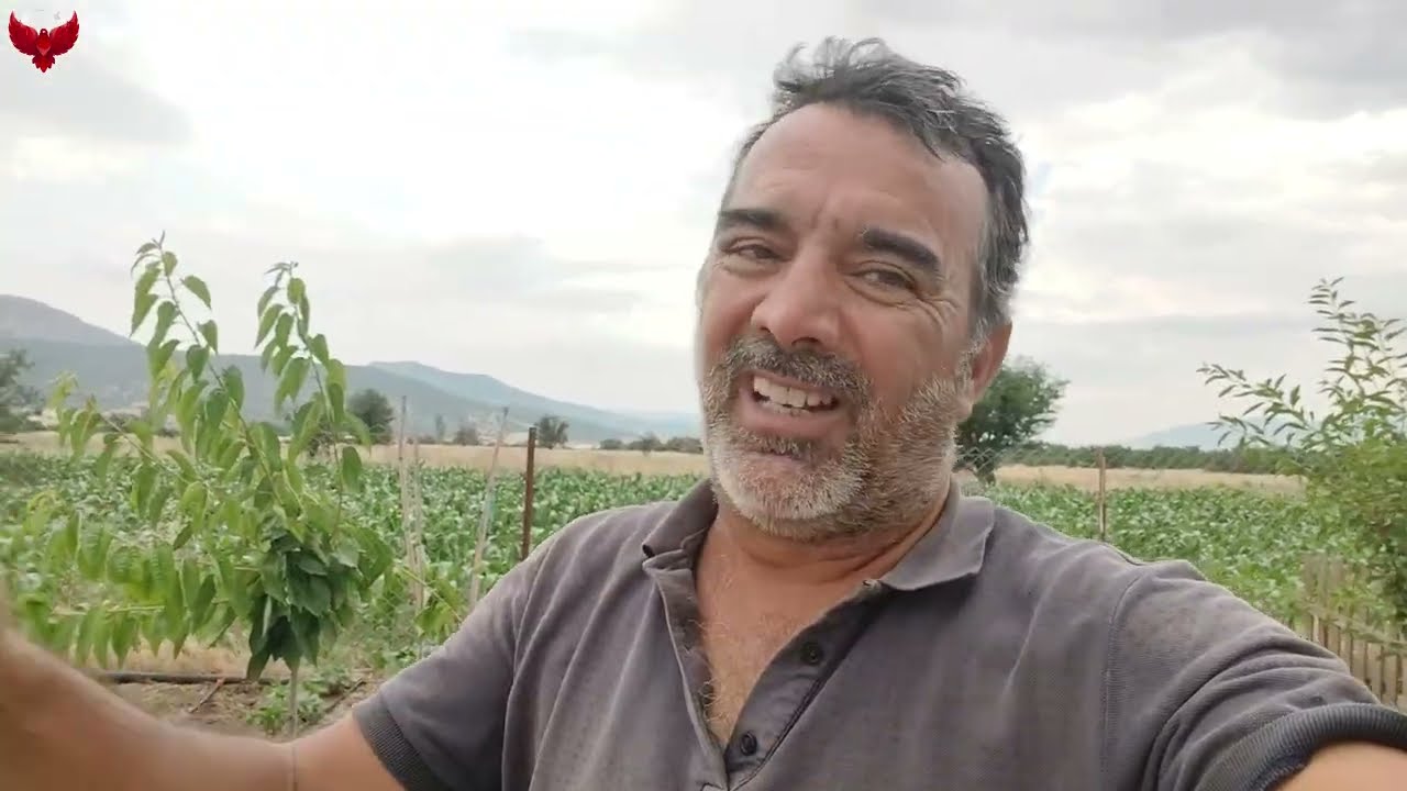 GÖK ERKEĞİ 4 AY ARADAN SONRA TEKTE UÇURDUM ❗DUMANEFEDE ÇAYIMIZI İÇTİK. 😁