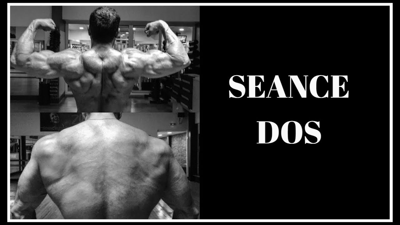 Séance 3/4 : Dos (Programme prise de masse en split)