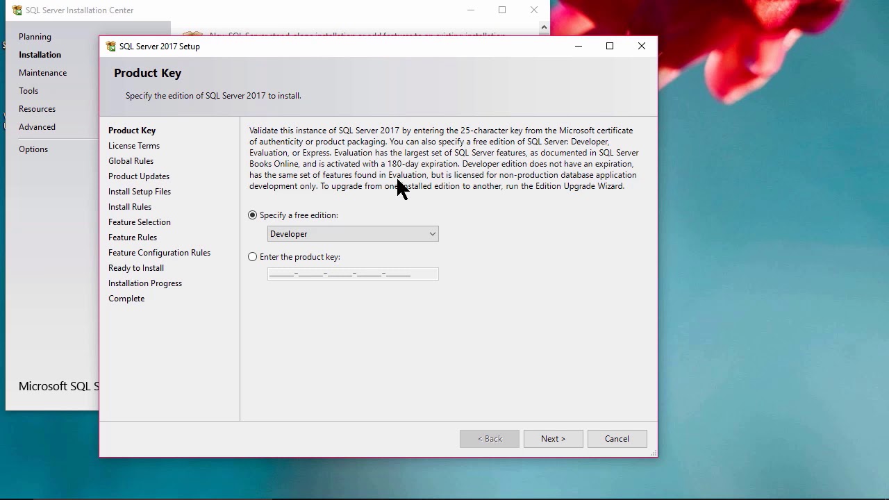 Как установить SQL Server 2017 Developer на свой компьютер — БЕСПЛАТНО