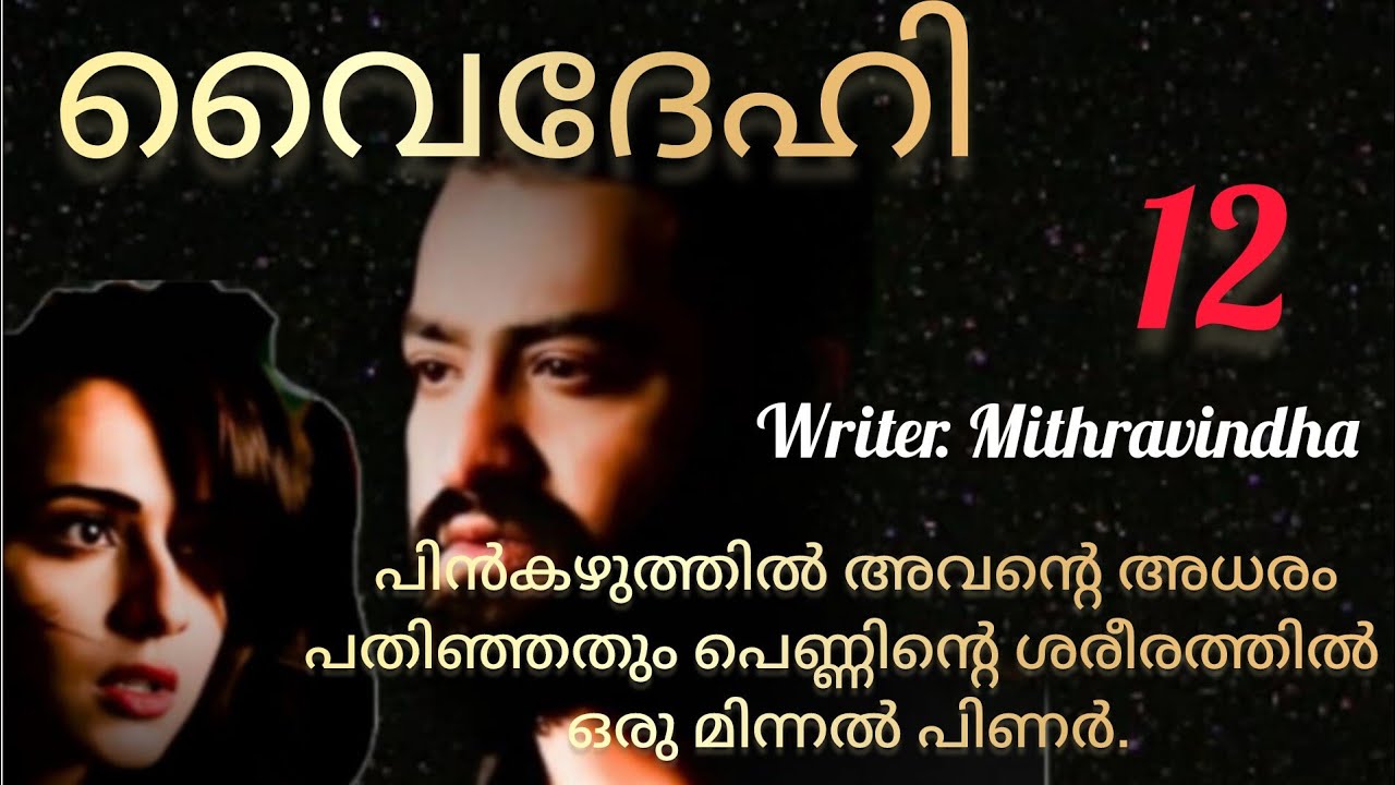 ഞാൻ തിരിച്ചു പോകുവാ രുദ്രേട്ടാ.. നാട്ടിലേക്ക് തന്നെ മടങ്ങാം എന്നാണ് എന്റെ തീരുമാനം. വൈദേഹി ഭാഗം 12