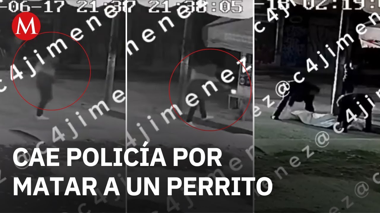 Detienen al presunto asesino del perrito 'Pastor' en Ecatepec