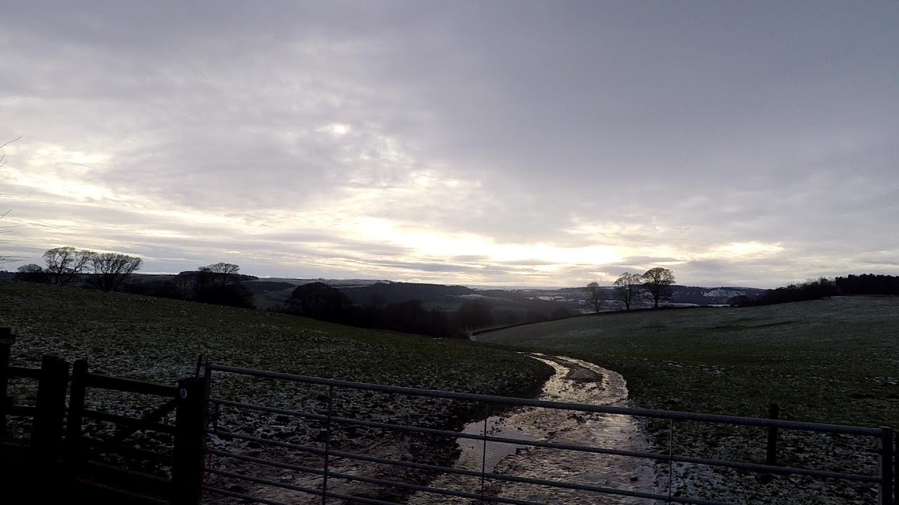 Mindfulness walk 1 - 10th Jan 2021