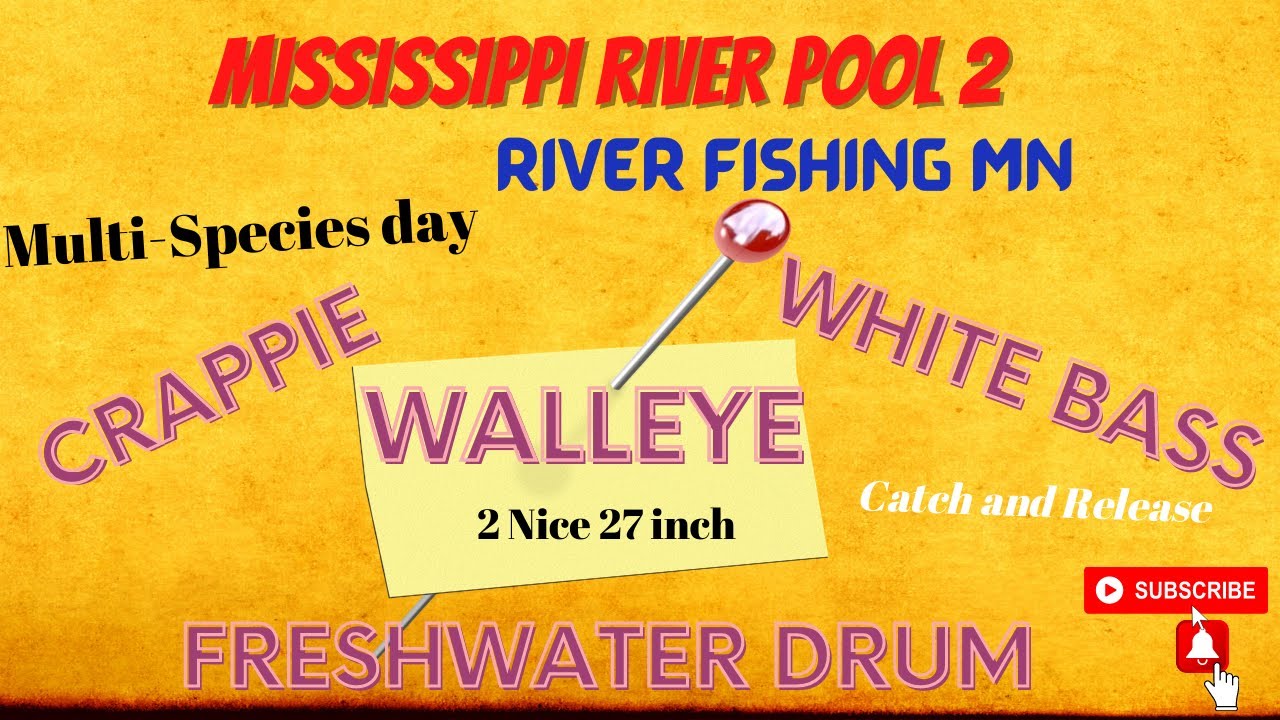 Mississippi River pool 2. Minnesota. Fishing Rip Rap Summer Walleye's