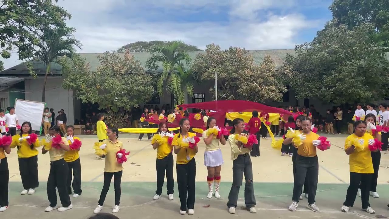 Grade 10 Performance