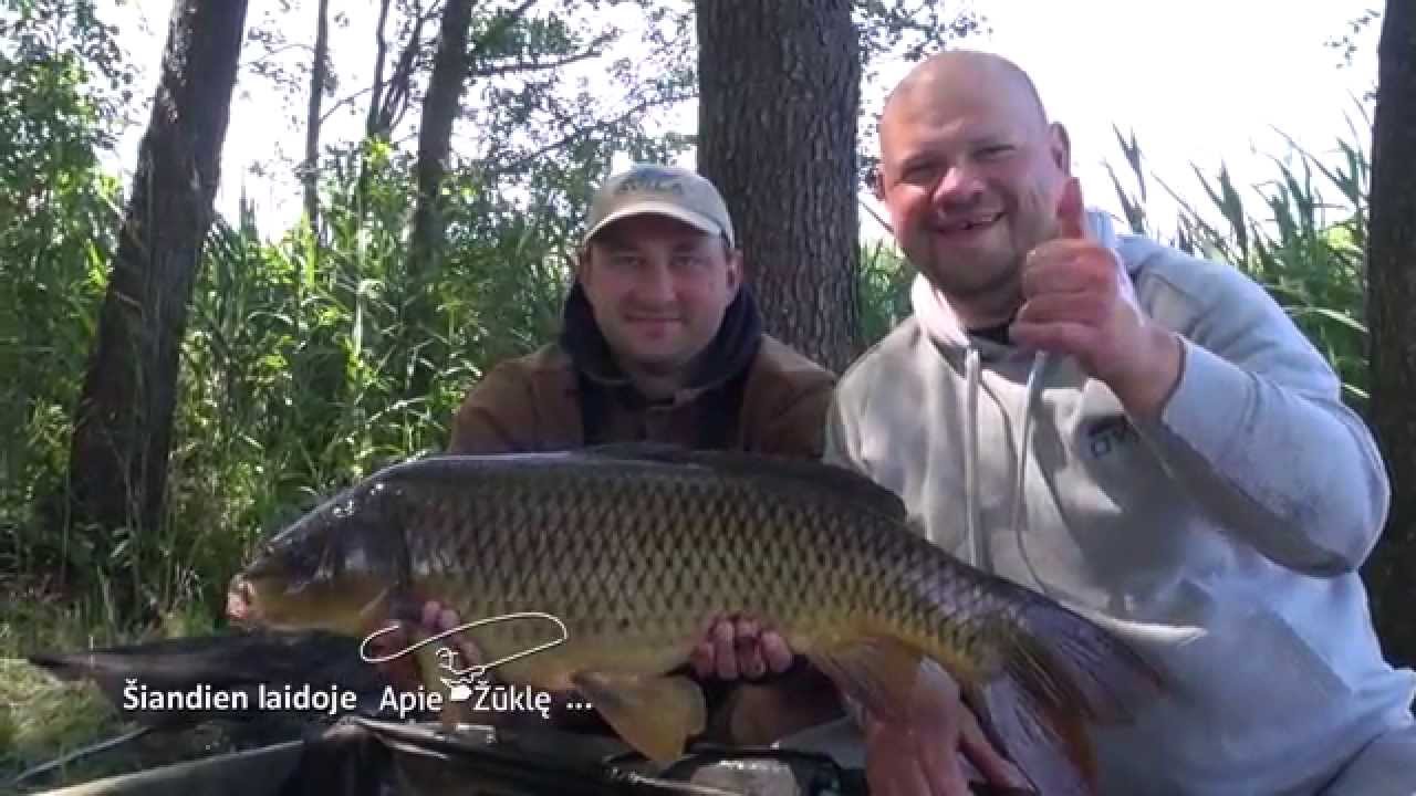 Apie žūklę 2015 07 04