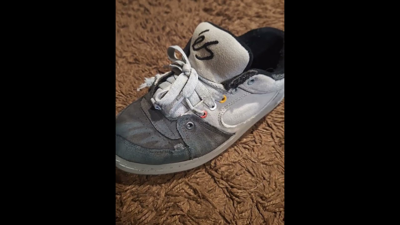 éS Accel OG Skated shoe Review! 