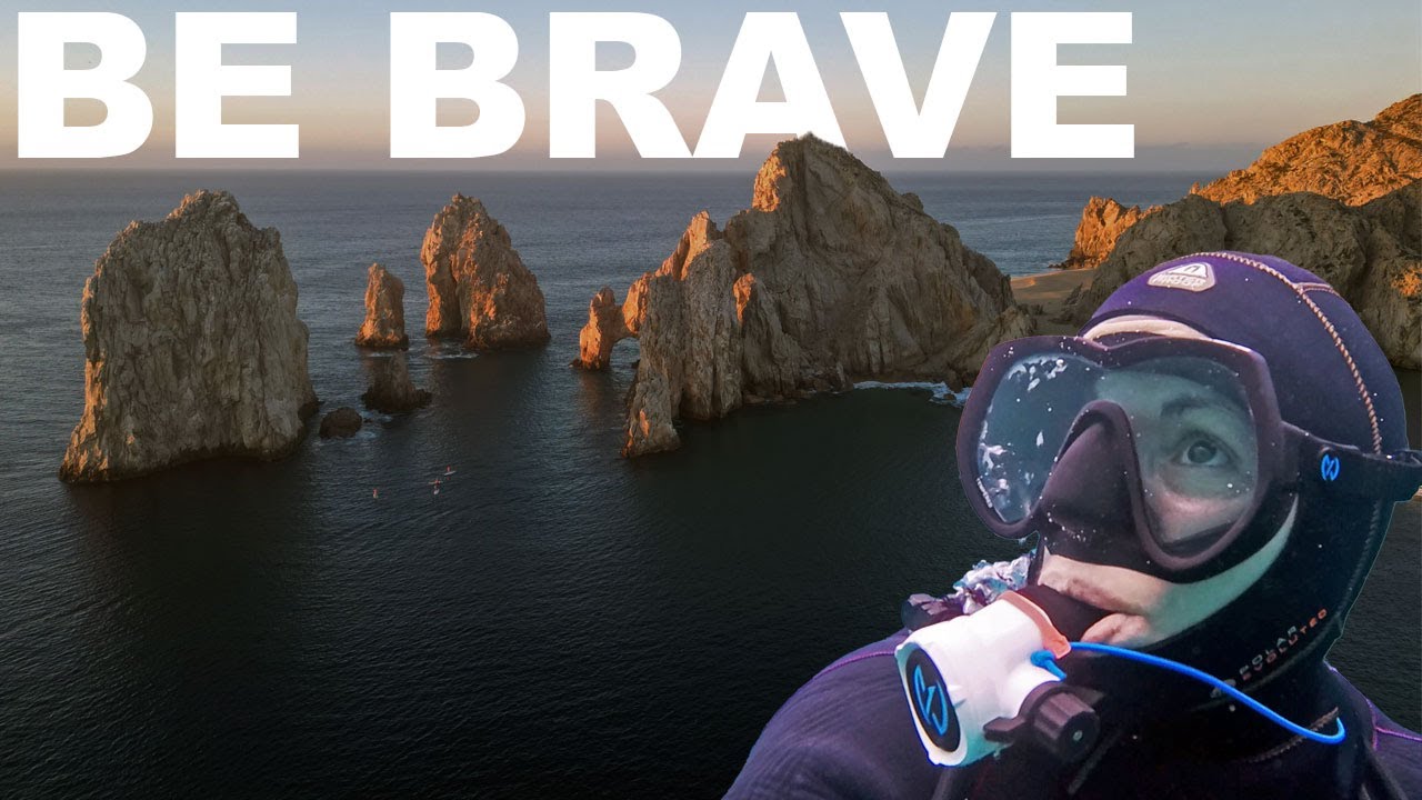 Leading the BAJA DIVE EXPEDITIONs - iconic diving in Mexico 🌈