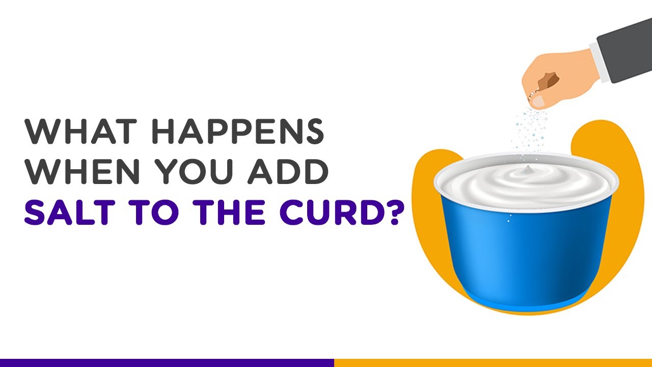 What happens when you add salt to the curd? | Food Science | Ulipsu Learning App