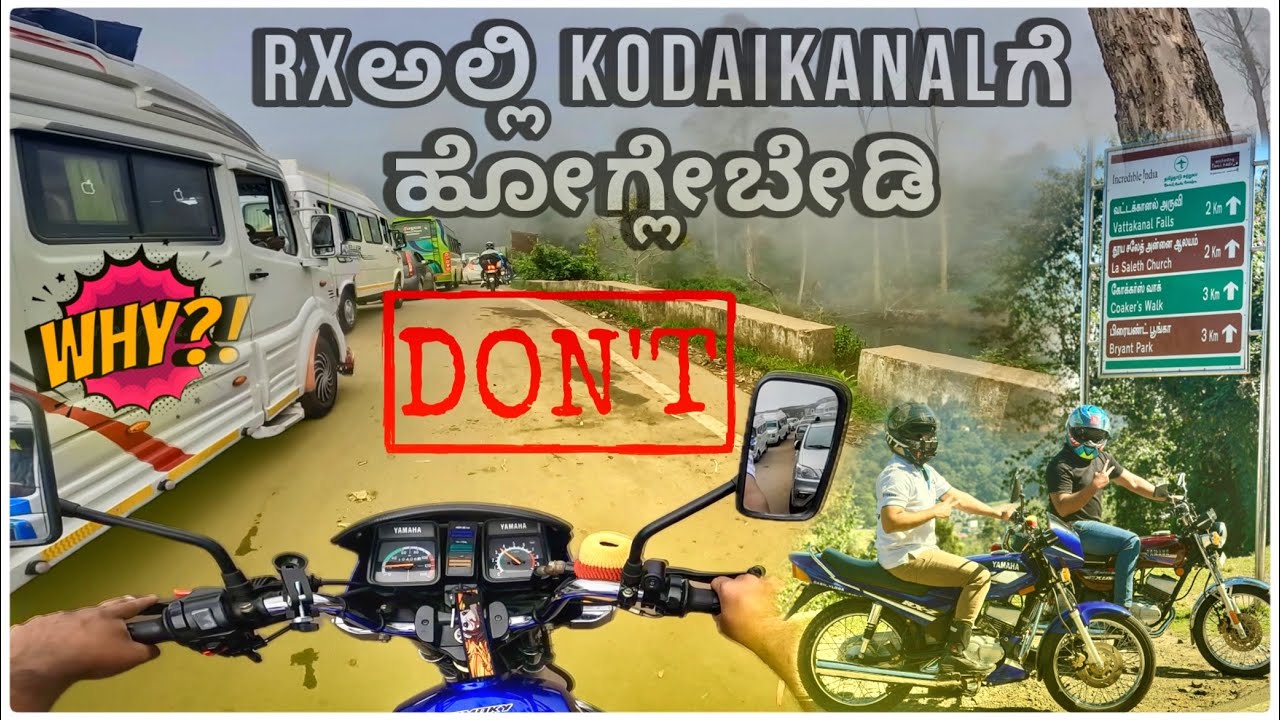 Kodaiನ ಯಾವ ಜಾಗನೂ ನೋಡಕ್ ಆಗ್ಲಿಲ್ಲ 👿 | Dolphin nose| pillar rock | moir point | pineforest🌳 | gunacaves