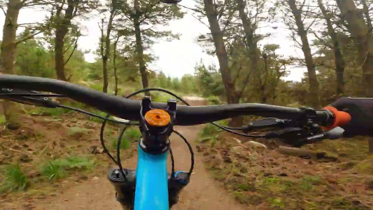 Coolaney MTB black line on a hardtail