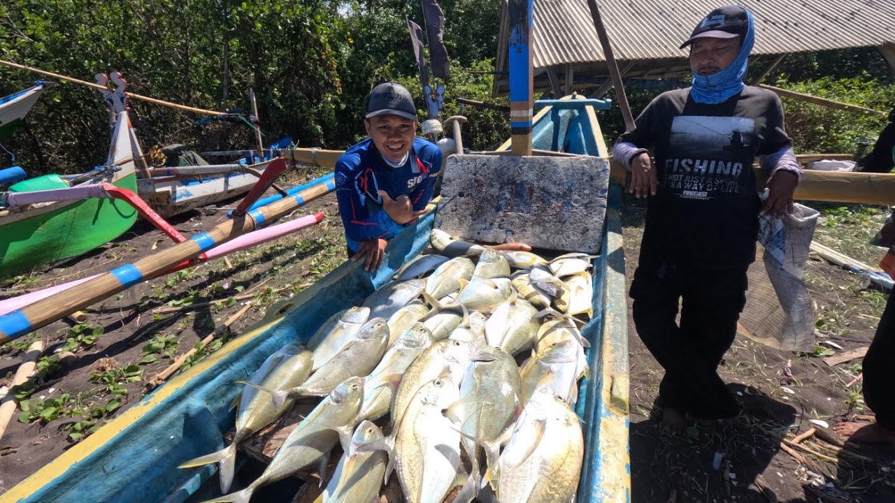 GOKIL ❗️❗️❗️ Rela Jauh-Jauh Demi Panen Giant Travelly Di Selat Bali