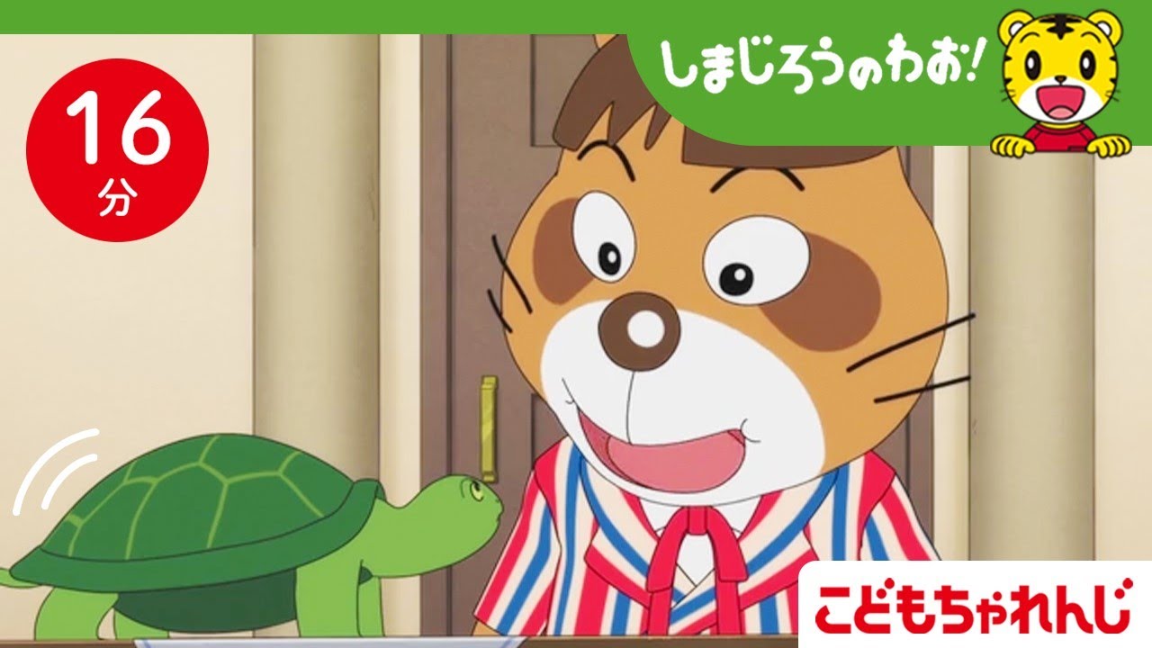 【16分アニメ】カメさんを育てるぞ🐢 ペットも大切な家族 | 生き物の命・動物を飼うこと・お世話・責任 | しまじろうのわお！アニメ | しまじろうチャンネル公式