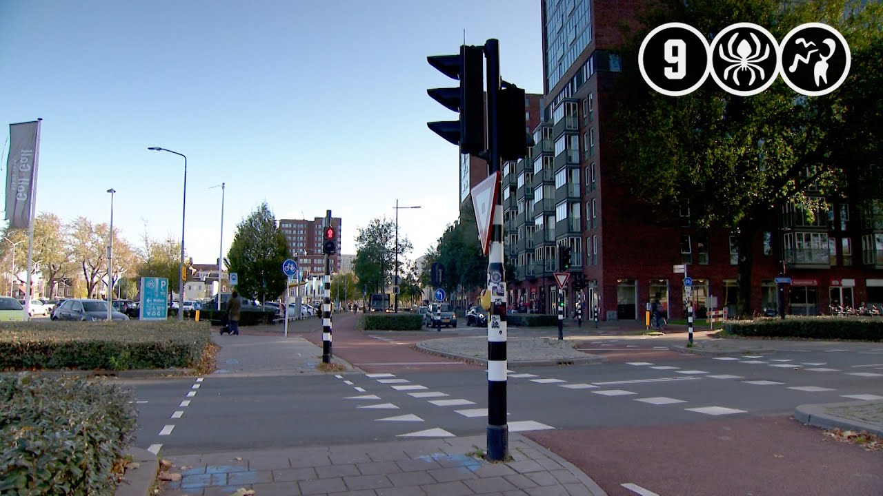 Tilburg: Automobilist rijdt door na heftige aanrijding met voetganger
