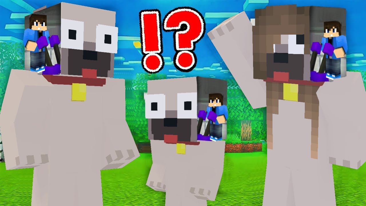 DANI ÁTVETTE AZ IRÁNYITÁST KIIS CSALÁDJA FELETT A MINECRAFTBAN!