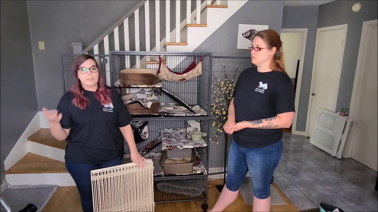 L'environnement du furet (cage + ''ferret proof'')