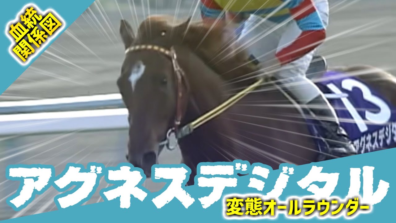 【変態的天才】アグネスデジタル!!（血統関係図）