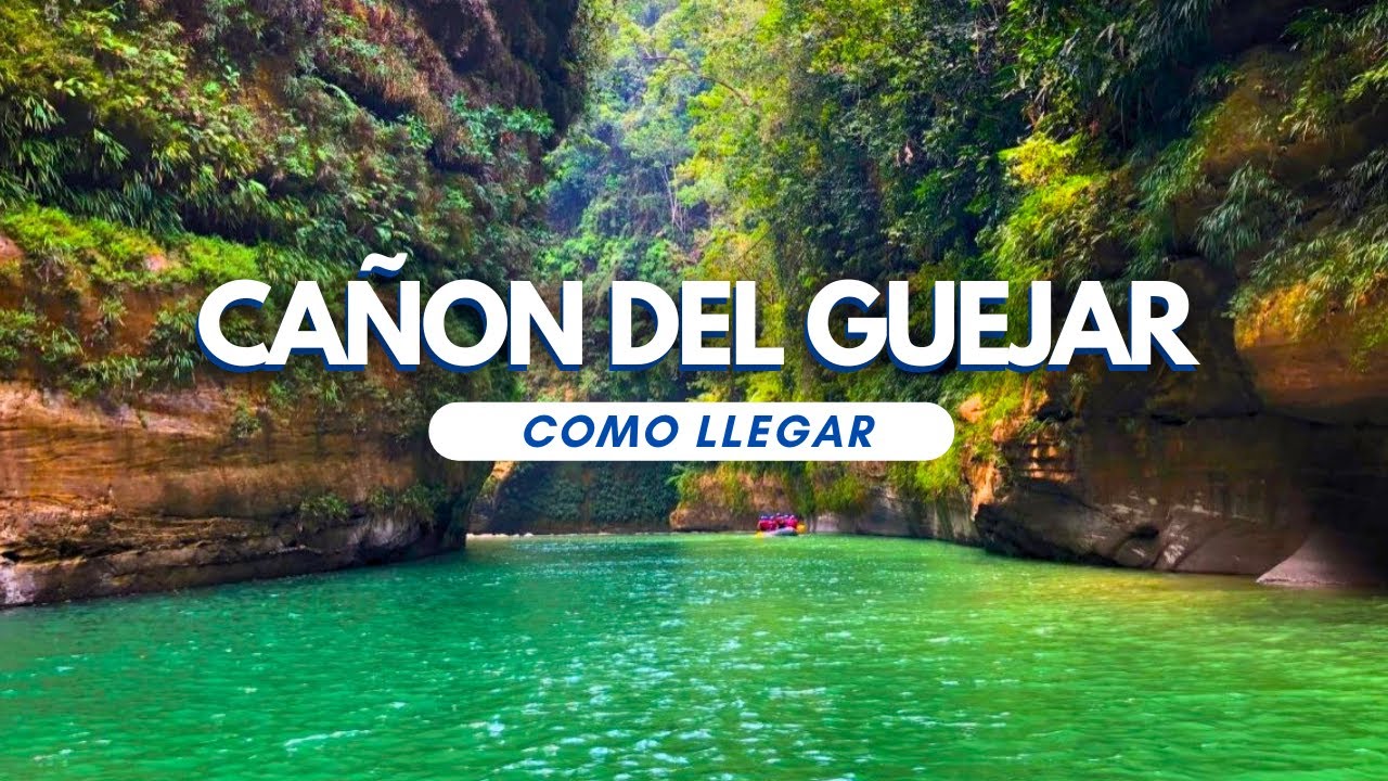Mi Opinión sobre el 