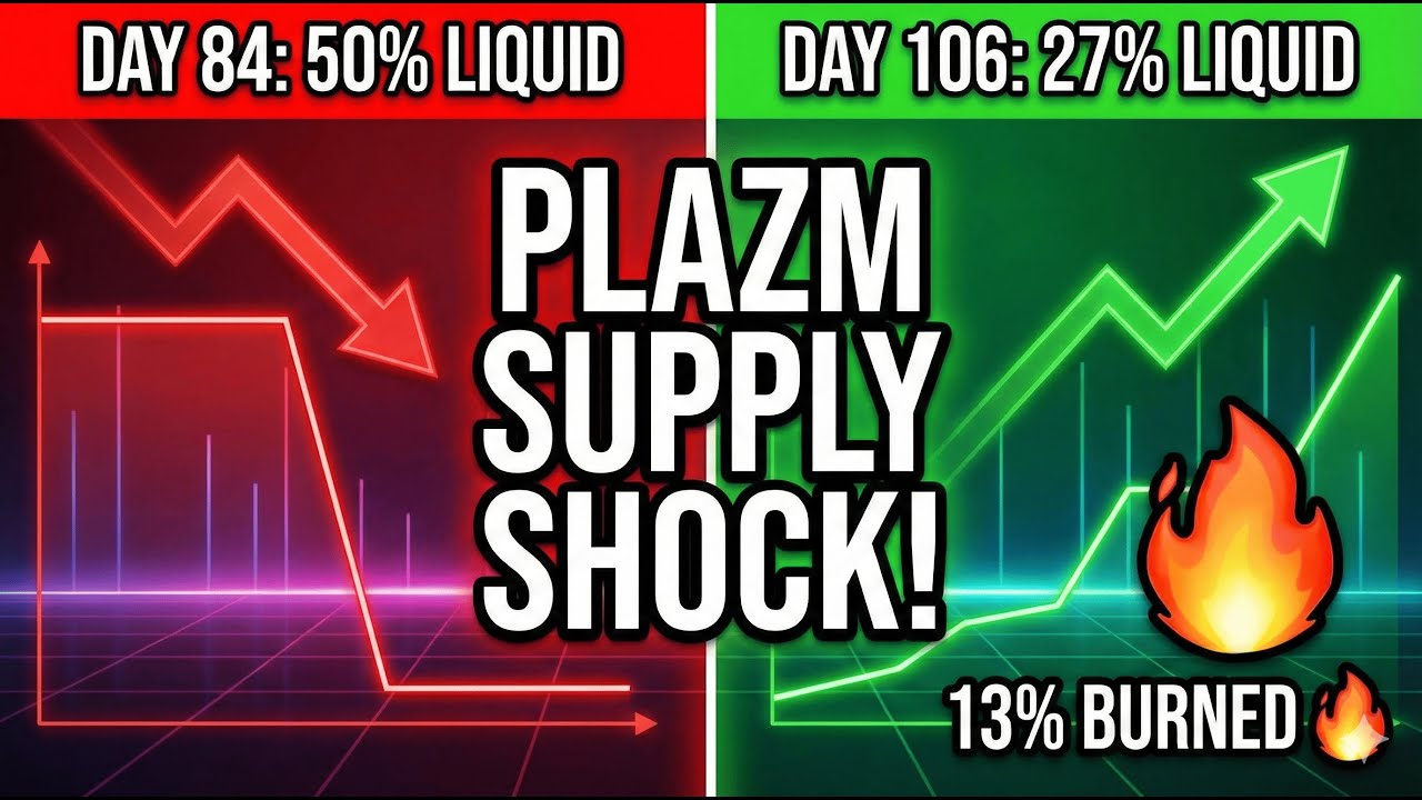 PLAZM Road to Normalization: 2M Staked & 73% Locked (Day 106 Report)