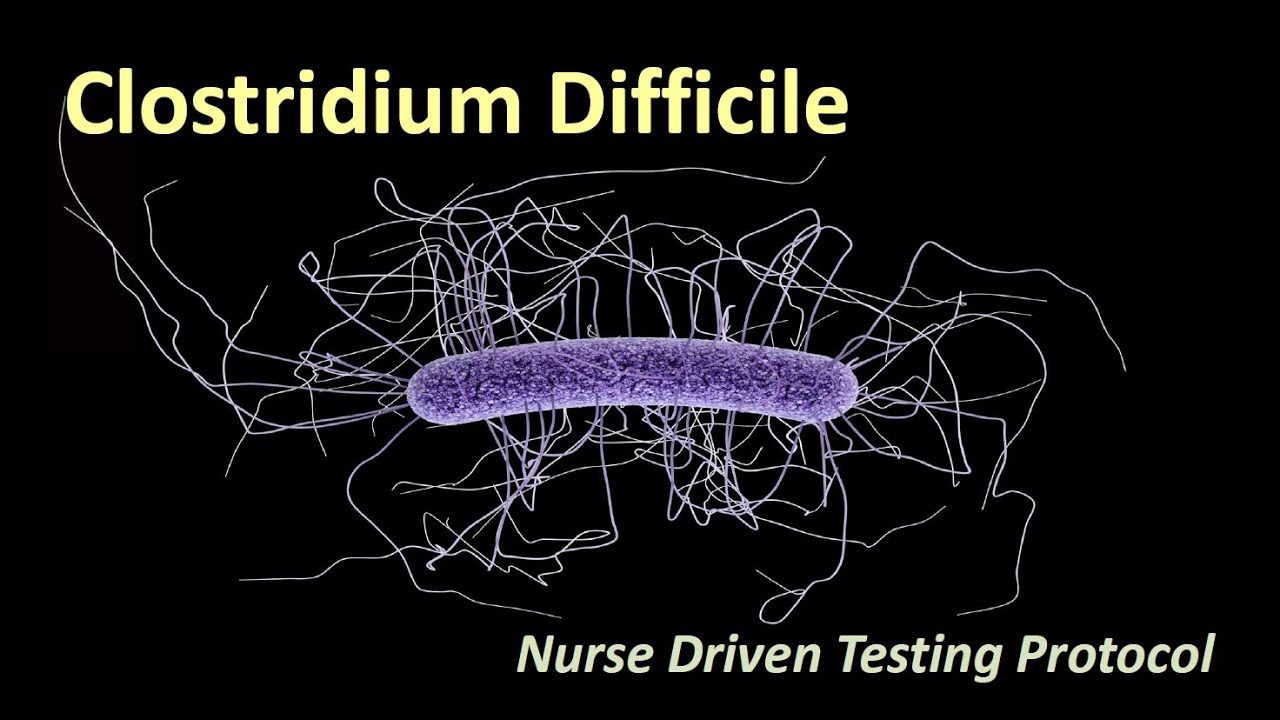 C Diff Nurse-Driven Testing Protocol