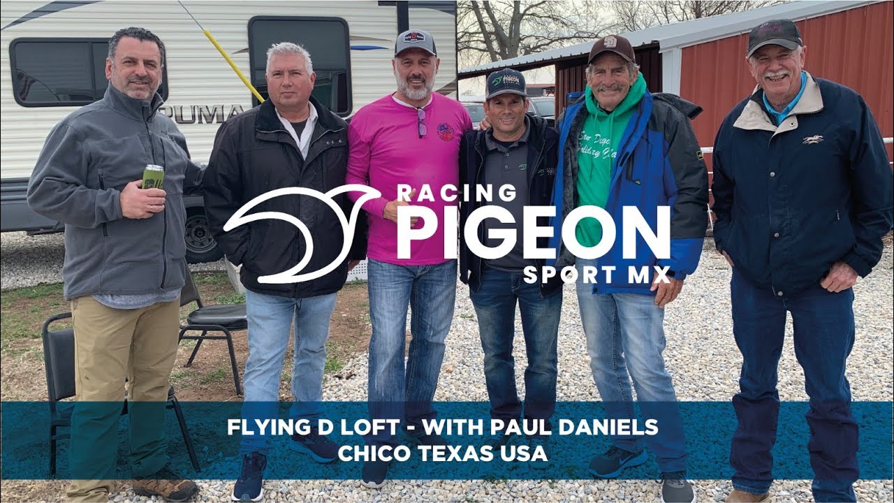 VIDEO #13 FLYING D LOFT WITH PAUL DANIELS, CHICO TEXAS, USA.