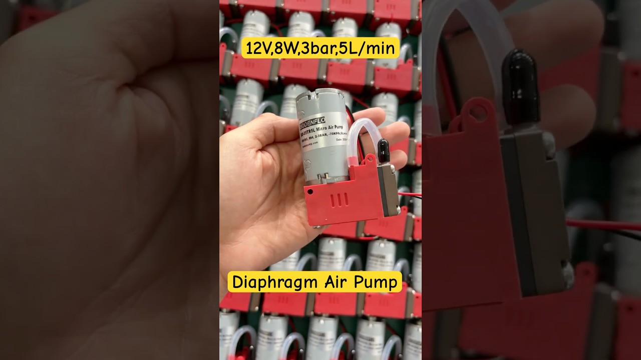 Micro Air Pump 3bar -70kPa 5L/min Diaphragm Gas Pumps 12V/24V