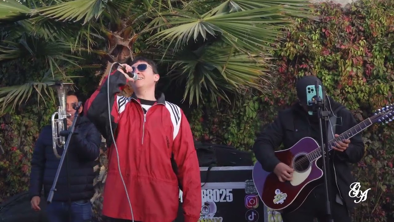 Gallo Armado - Popurri de @LuisRConrriquezOficial