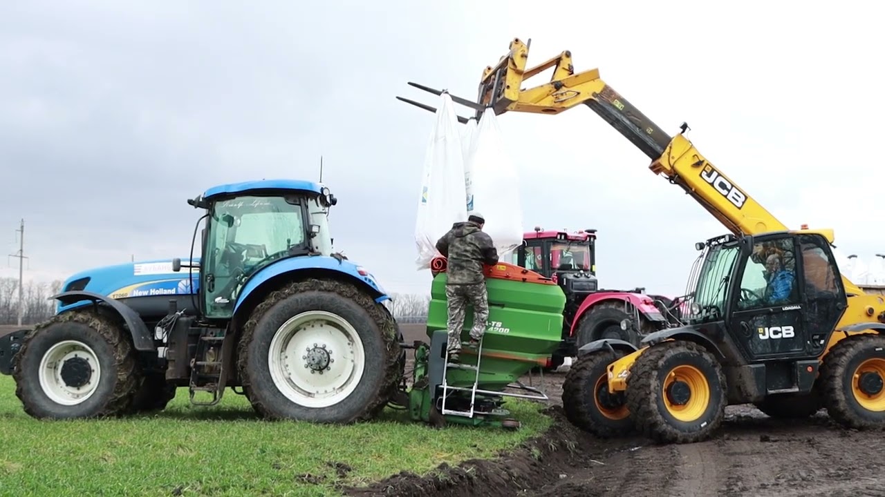 Как кормим пшеницу