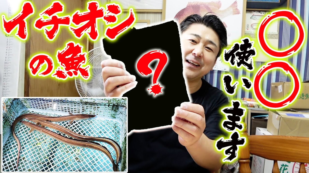 【旬の鱧】簡単料理で絶品のハモスキを作ったよ！！
