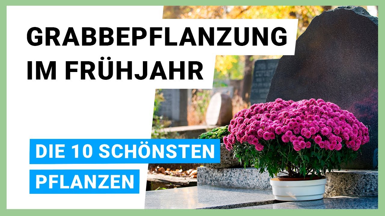 Grabbepflanzung im Fr&uuml;hjahr: Die 10 sch&ouml;nsten Pflanzen