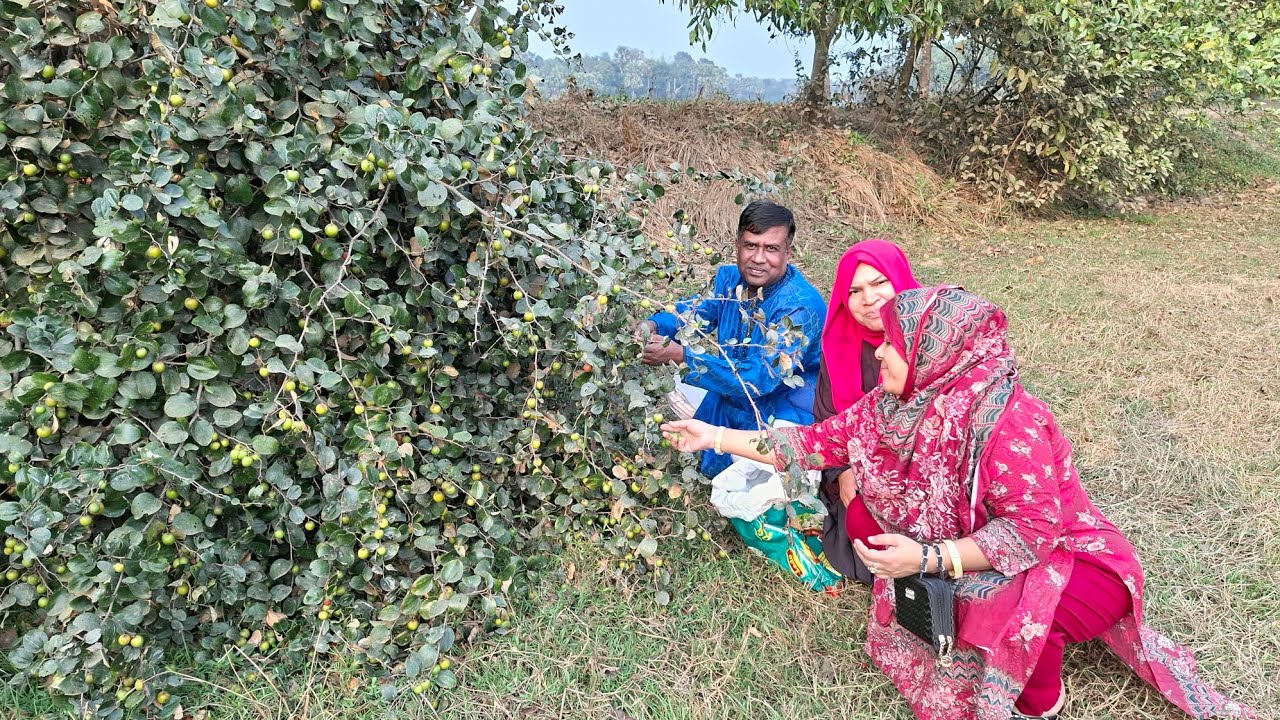 বোন জামাই কে নিয়ে বড়ই উঠিয়ে ননদ জামাই ভাগনিদের নিয়ে সন্ধ্যায় পার্কে গেলাম। 