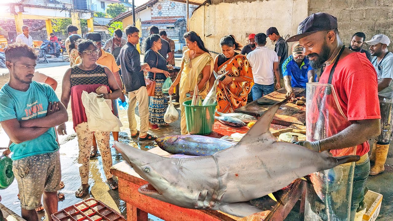 Amazing Fast & Clean Cut Traditional Street's Fish Market Huge  Fish Cutting Skills