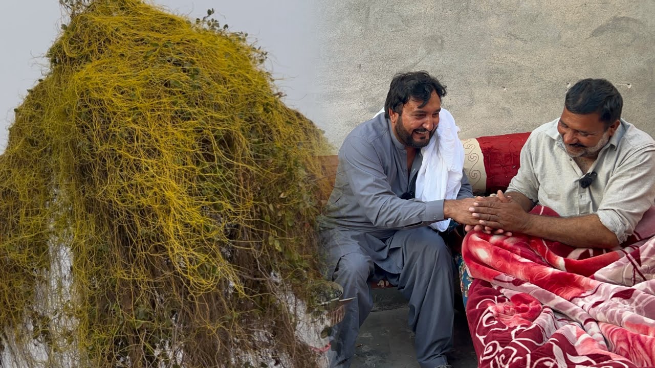 Amar bail ty Pakistan di Kahani | Sawar Ustad Shabir Gujjar di puchni kiti | Anjum Saroya