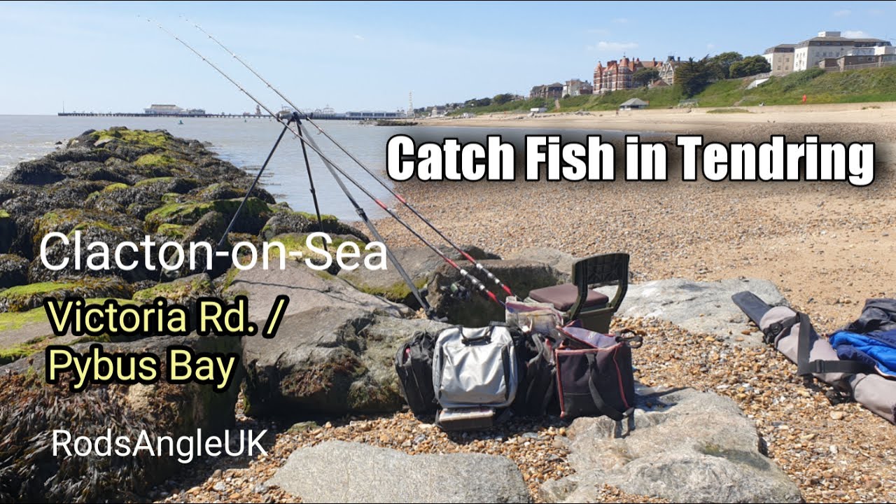 Catch fish in Tendring: CLACTON - VICTORIA RD. / PYBUS BAY