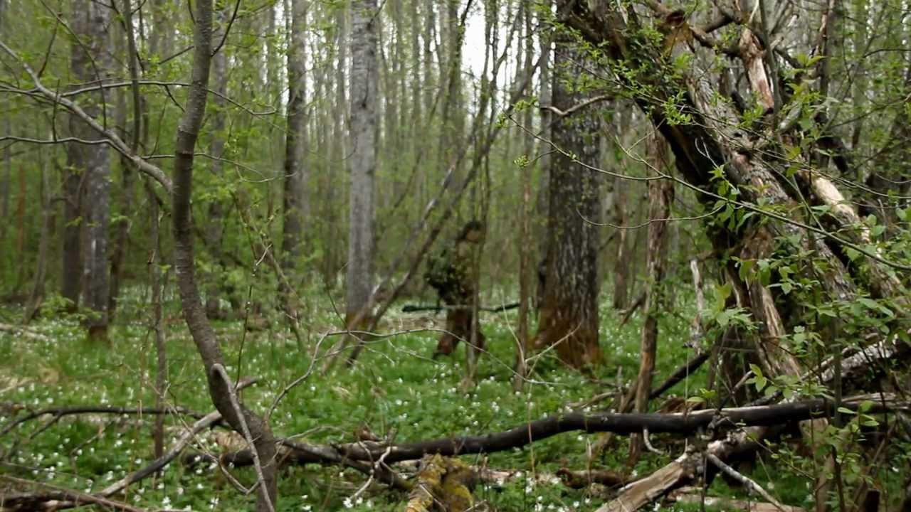 Вахта Памяти-2012. Демянский район.