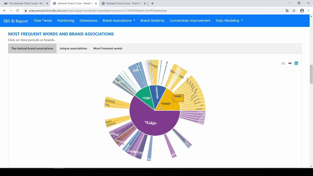 Analisi dell'Importanza dei Brand con il Semantic Brand Score - Esempio di Report