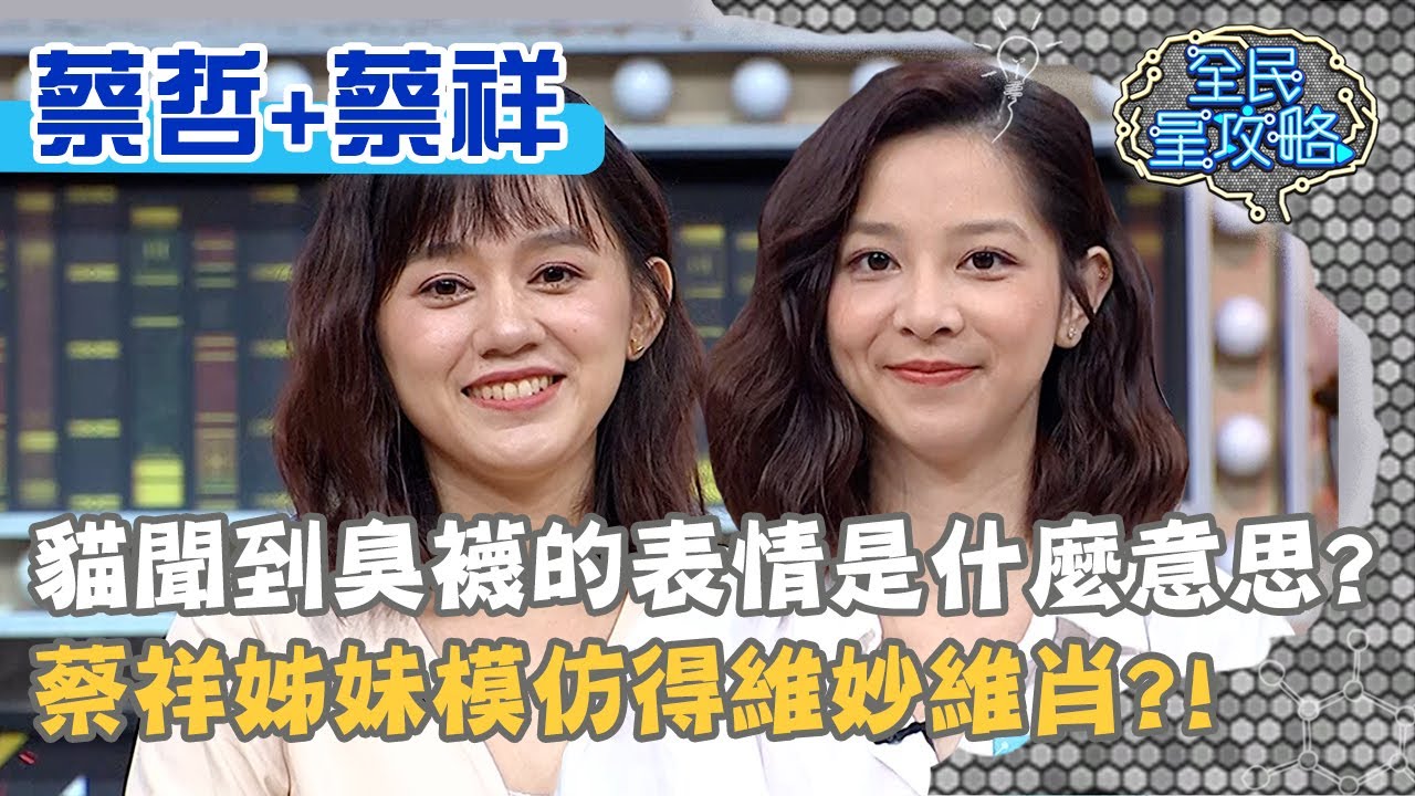 貓聞到臭襪的表情是什麼意思？蔡祥姊妹模仿得維妙維肖？！20201203 曾國城 蔡哲 蔡祥 Part2 EP372【全民星攻略】