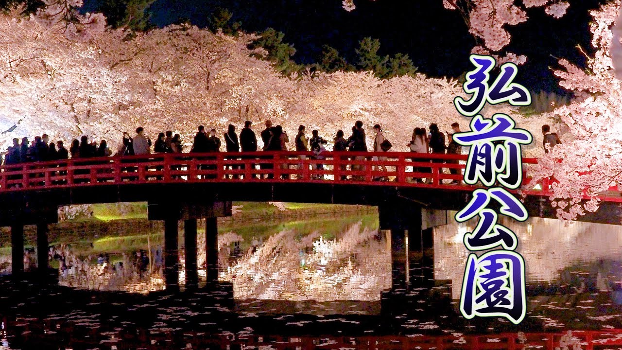 【Cherry blossoms】Hirosaki Park  (Hirosaki Castle) 2021. 日本三大桜の名所  弘前城  #4K​​​ #弘前公園​​ #桜​