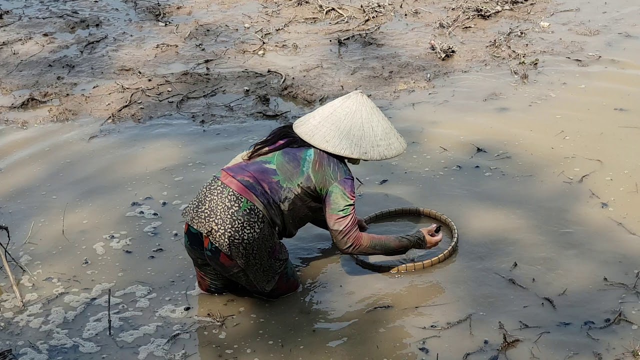 Sống Yêu Thương #09: Hiếm có gái xinh mò củ ấu giữa đồng nắng cháy nuôi chồng bệnh, 2 con nhỏ đi học