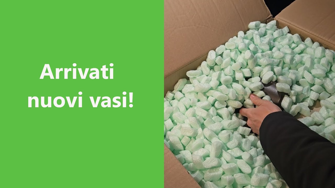 Il periodo dei rinvasi &egrave; alle porte! Unboxing vasi bonsai.