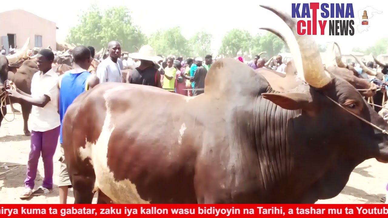 TARIHIN GARIN MAI ADUA DA MASARAUTAR MAI ADUA