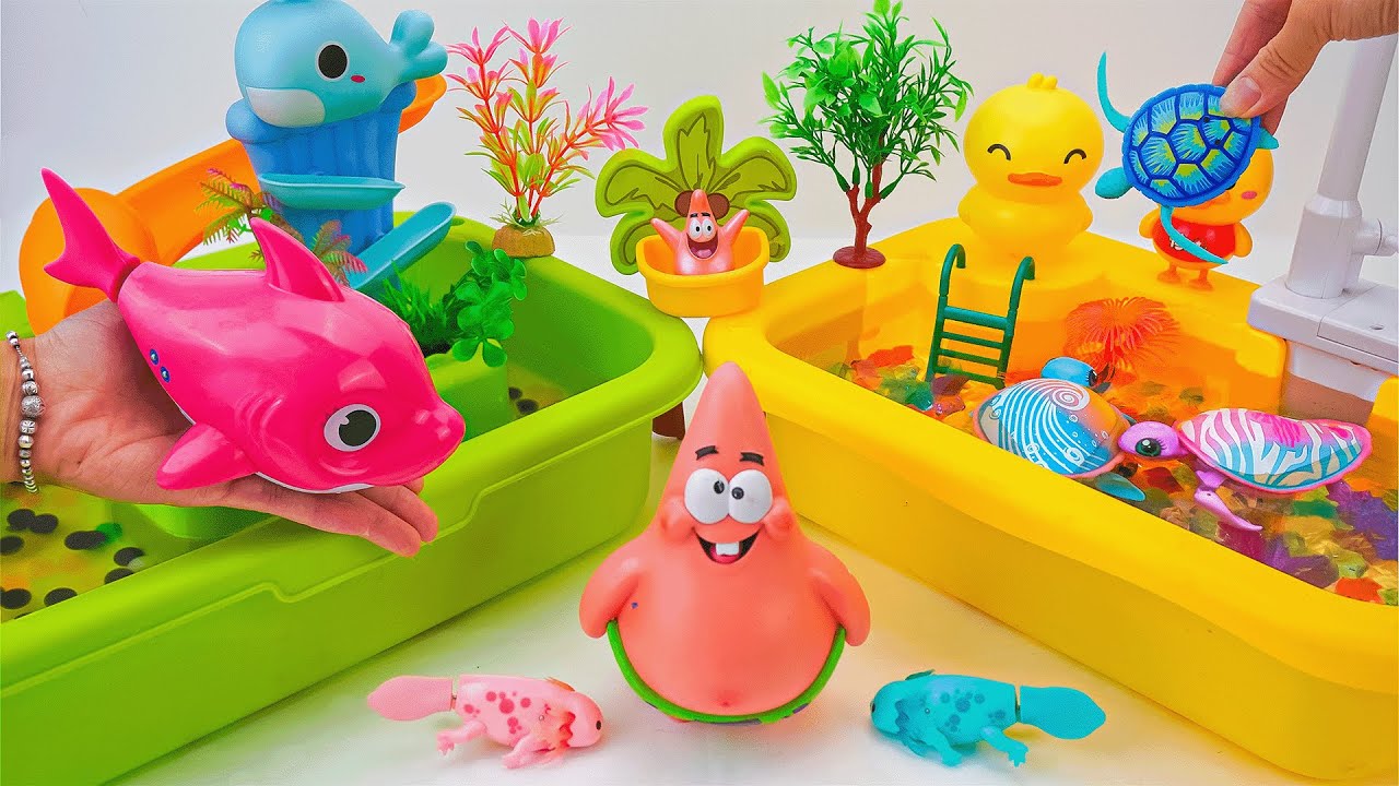 toy asmr | Zuru Robo Turtle & Robo Fish & Aquarium Playset ASMR Satisfying with Unboxing Review Toy