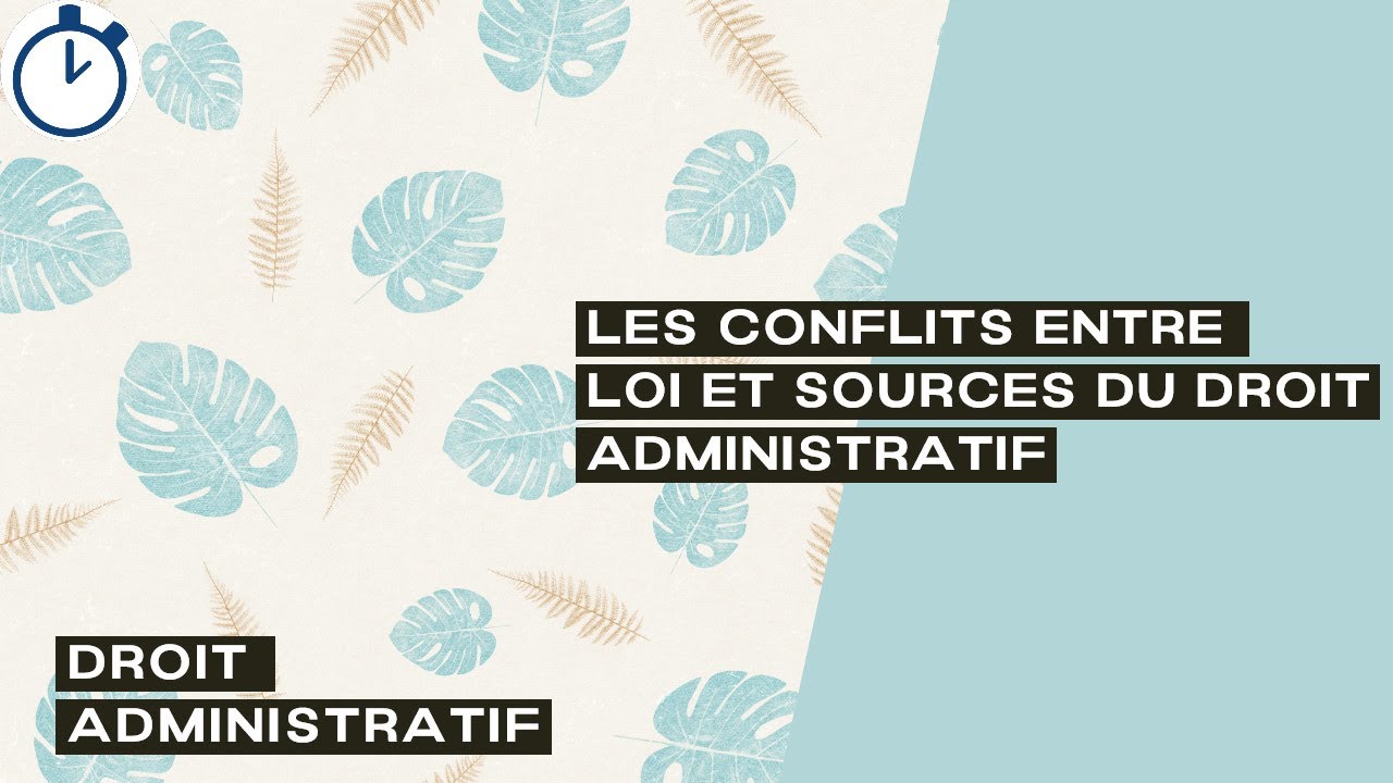 Les Conflits entre Loi et Sources du droit administratif : [Droit Administratif]