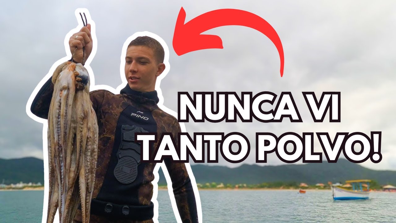 NUNCA VI TANTOS POLVOS, PESCASUB vs POLVO, QUEM LEVOU A MELHOR?